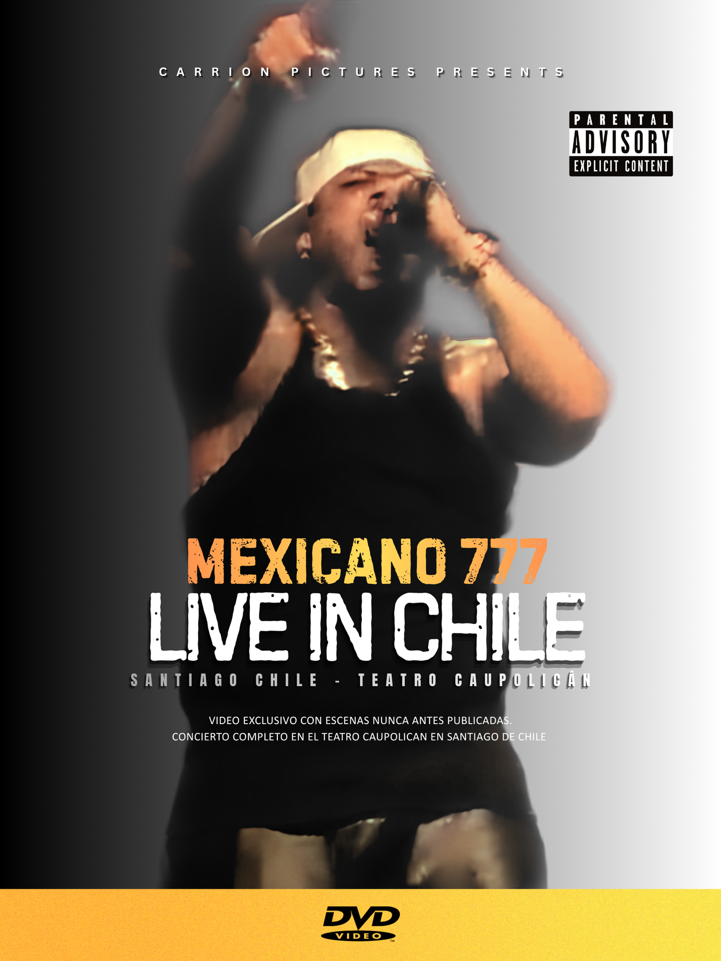 LIVE IN CHILE (DVD)